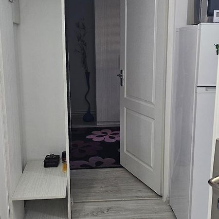 Garsoniera Regim Dni Apartment Petroşani Exterior foto
