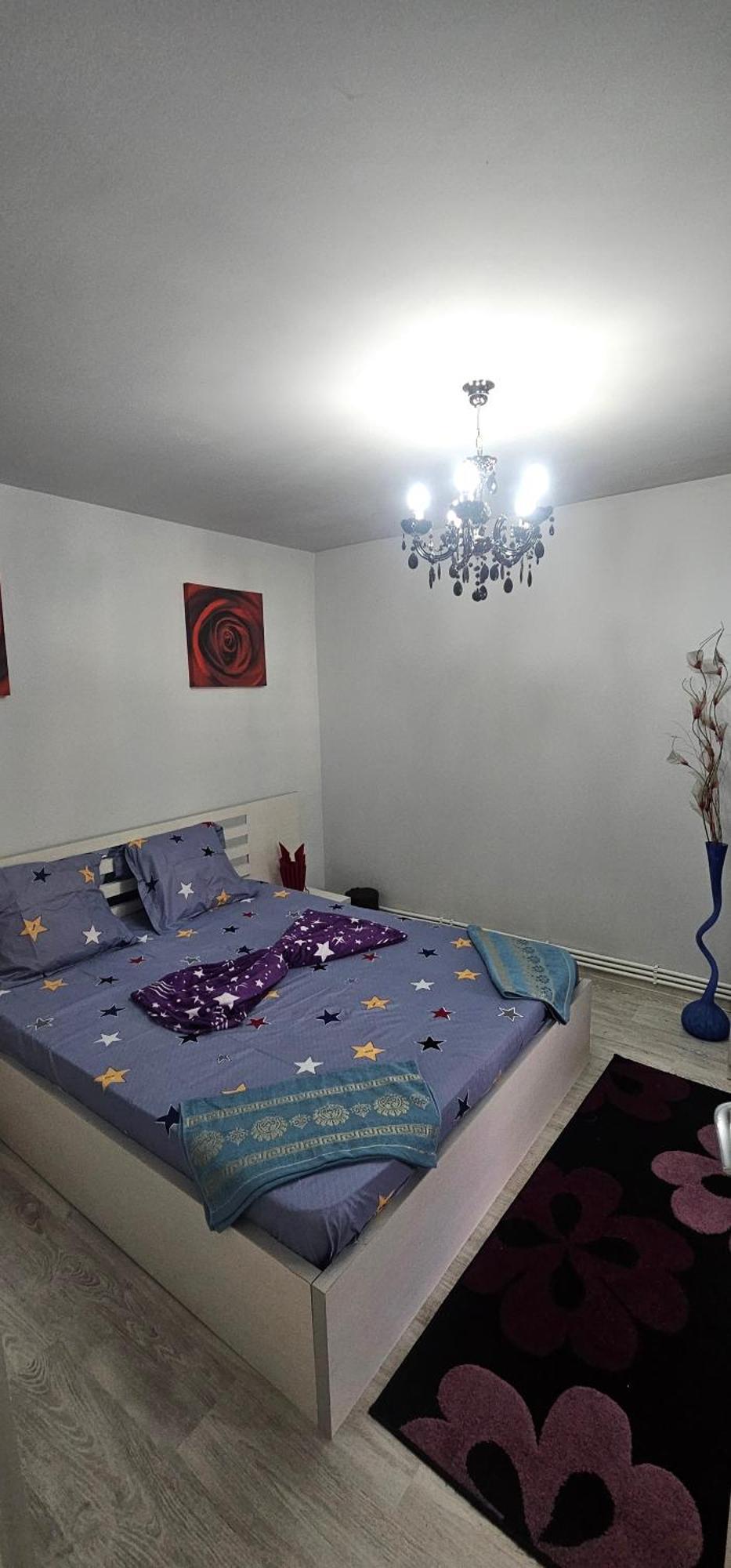Garsoniera Regim Dni Apartment Petroşani Exterior foto